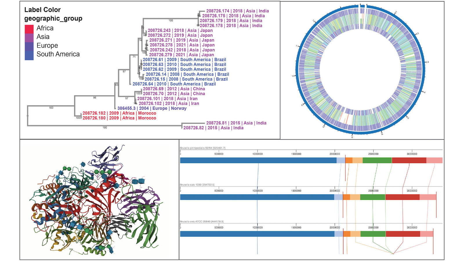 data analysis pipelines in BV-BRC