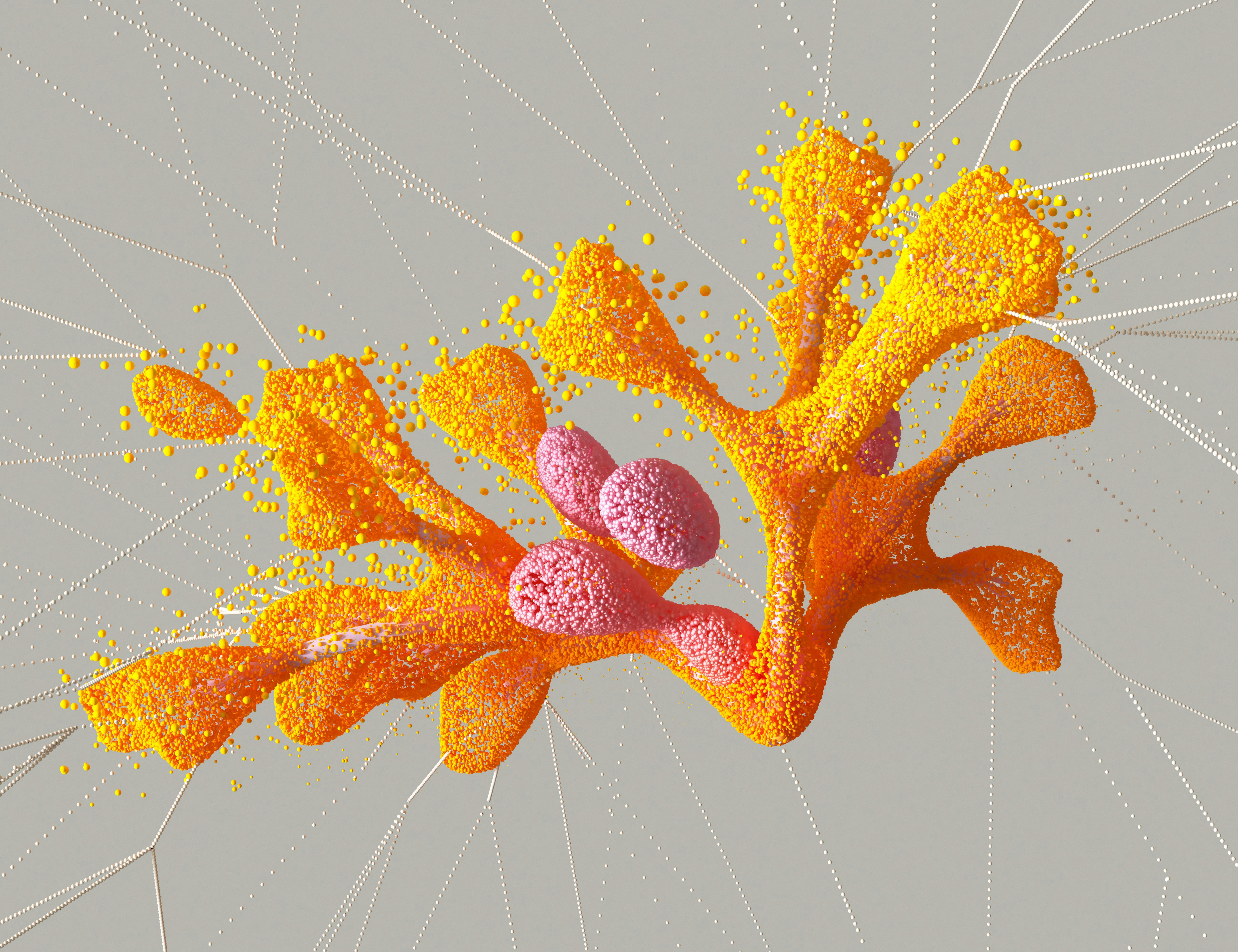 warm colors clusters like coral