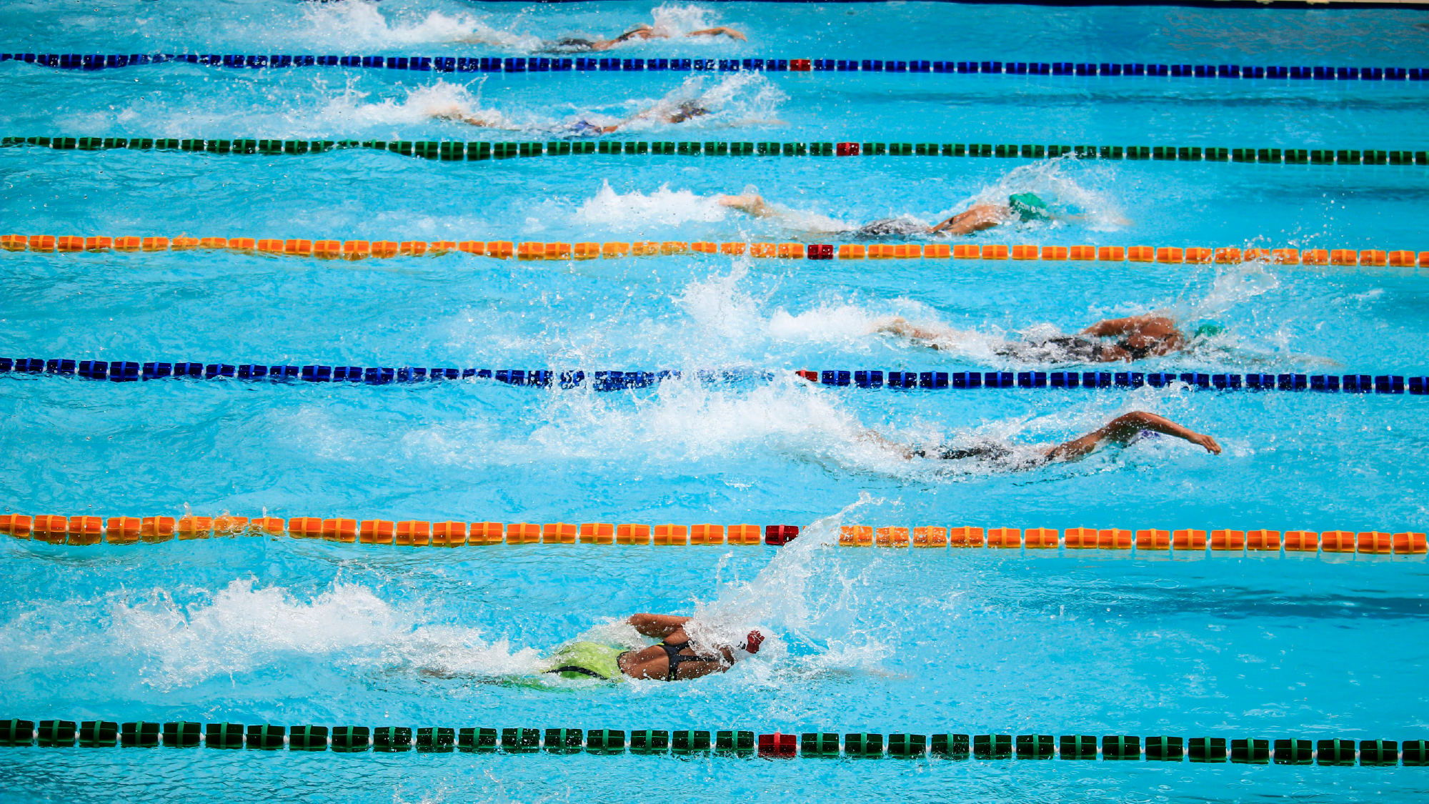 Freestyle swimming competition