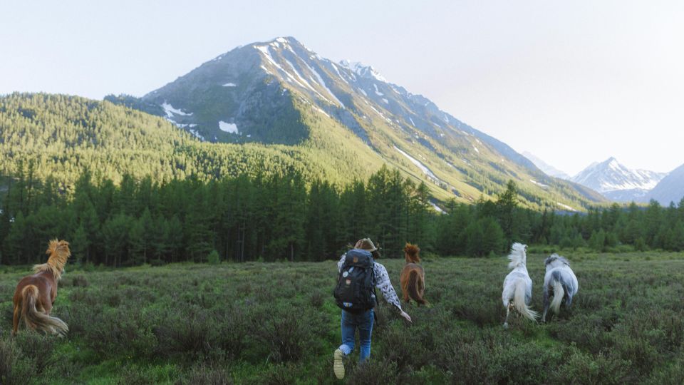 person in backpack running with horses