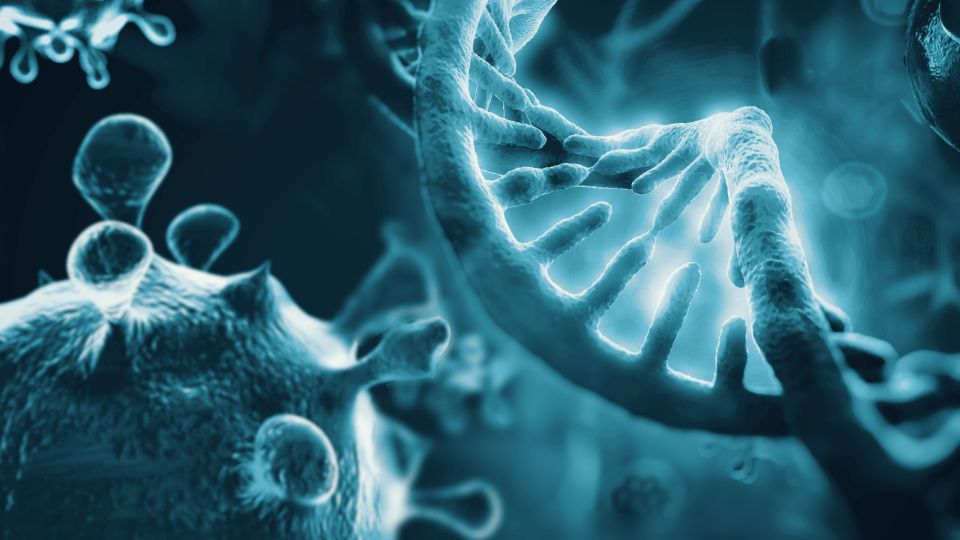 Virus and DNA